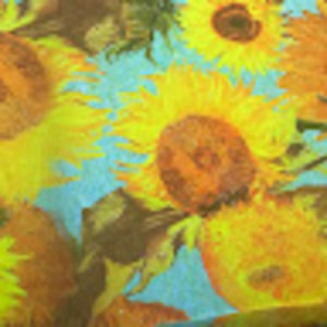 Meet your Posher, El